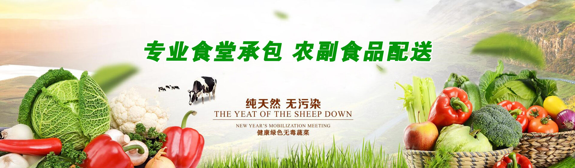 pp管